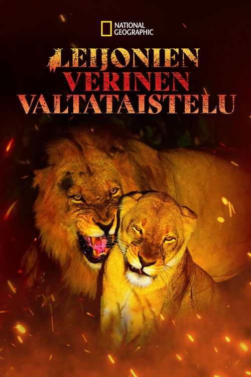 Game of Lions poster