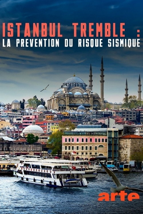 Istanbul bebt: Risiko und Frühwarnung
