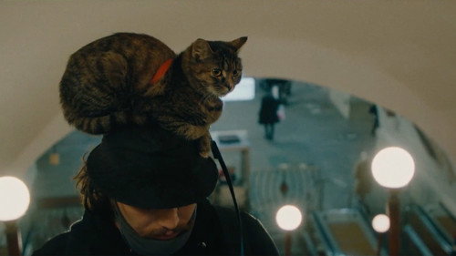 Where Are We Headed?