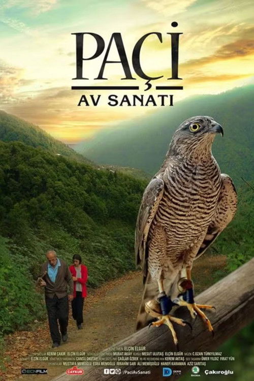 Paçi: Av Sanatı - FİLM Afişi