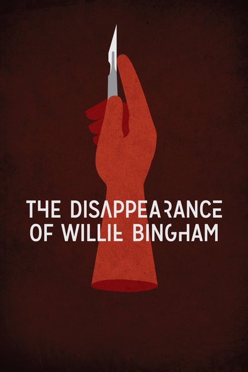 The Disappearance of Willie Bingham (2015) poster
