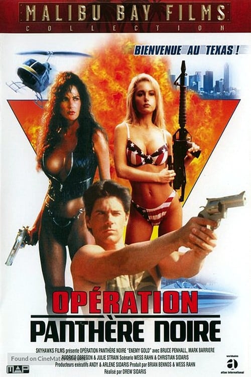 Opération panthère noire (1994)