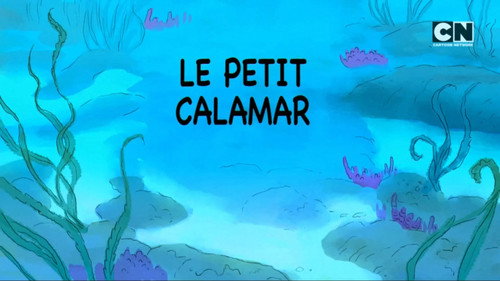 Image Le petit calamar