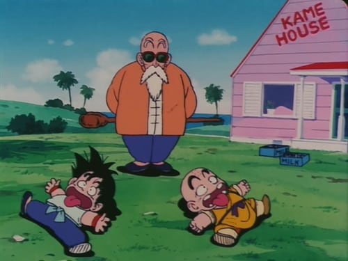 Dragon Ball: 1×17