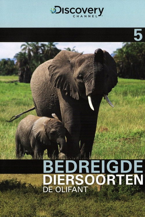 Bedreigde Diersoorten 05: De Olifant