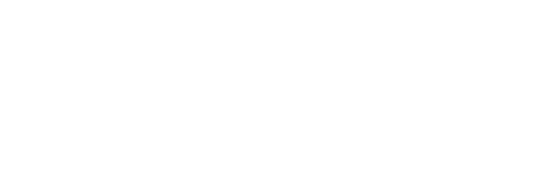 The Silent Revolution