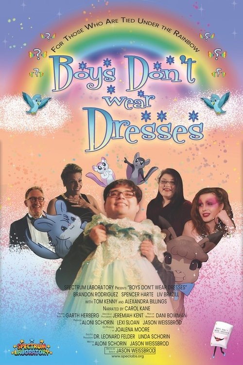 Boys Don't Wear Dresses movie poster player