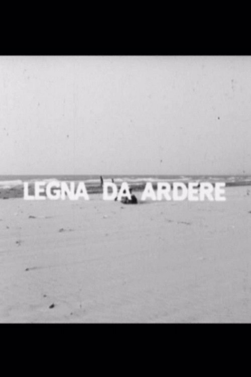 Legna da ardere