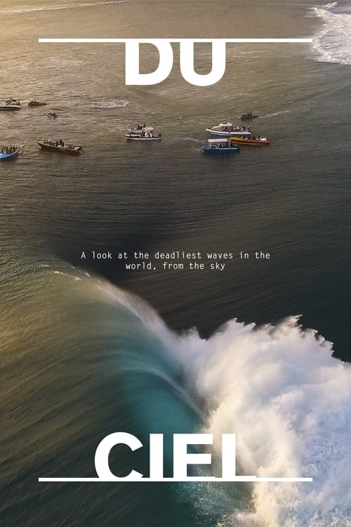 Surfing Presents: Du Ciel poster