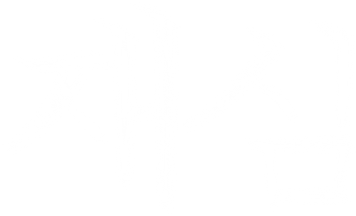 재심