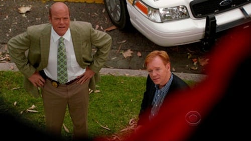 CSI: Miami: 10×13