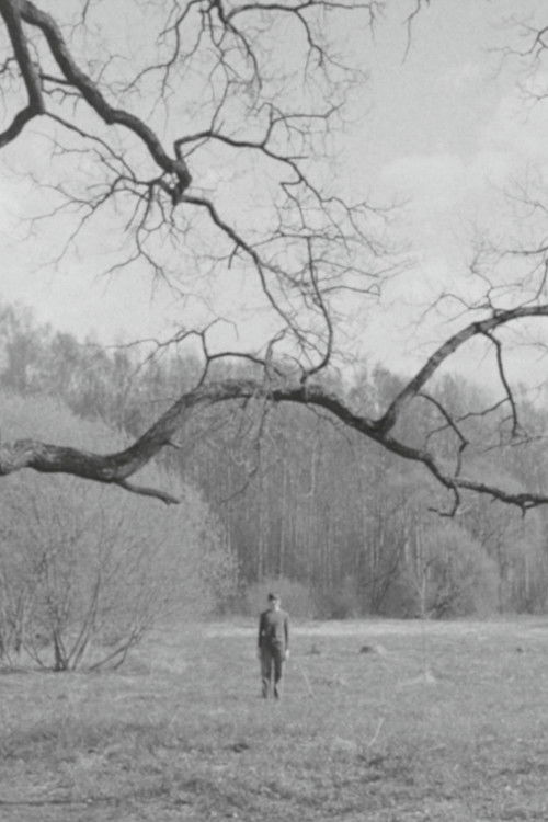 zero/point film afişi