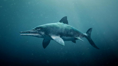 Attenborough and the Sea Dragon