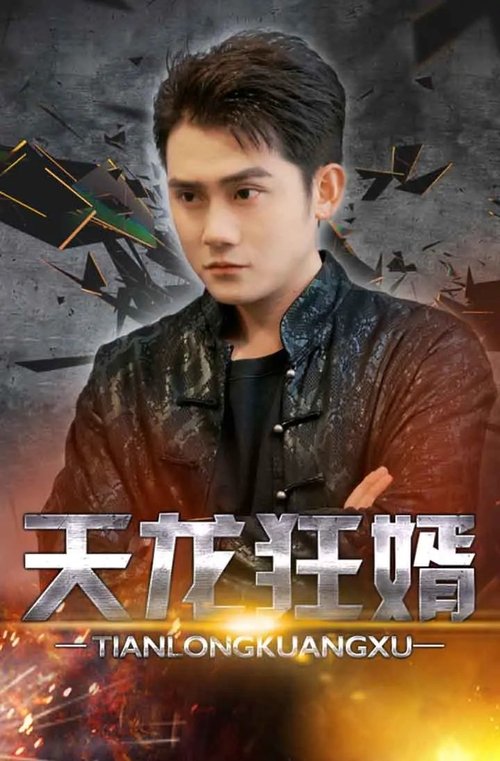 天龙狂婿 (2023) poster