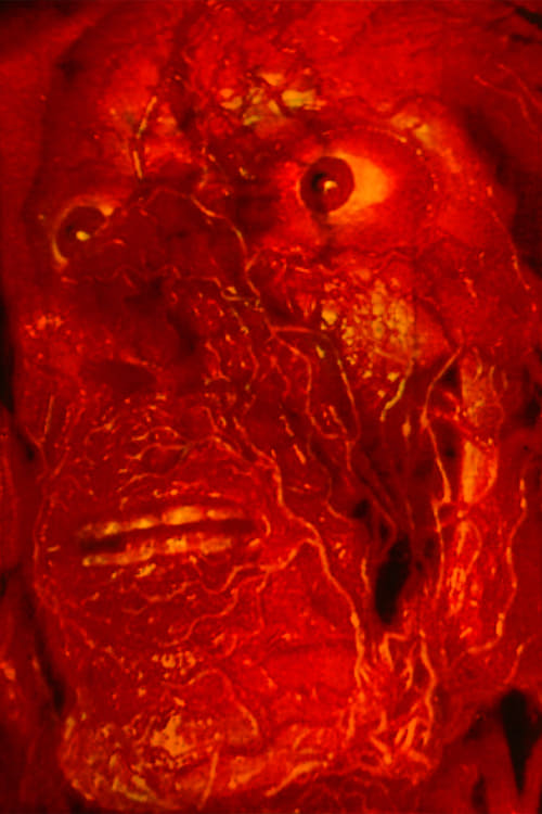 Permanentes Diarrhö und Hämorrhoiden official movie poster