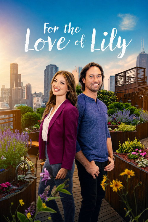 For the Love of Lily poster