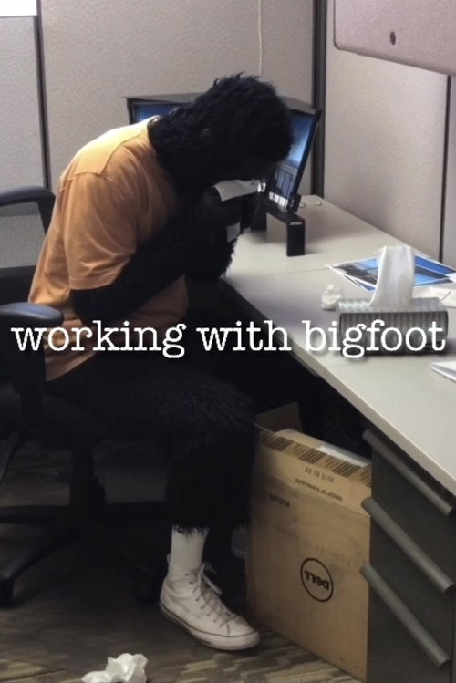Working with Bigfoot