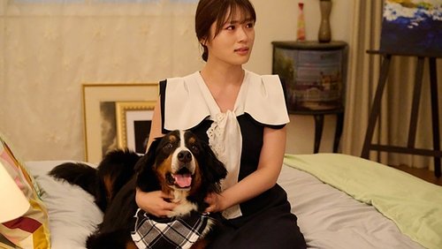 Image de l'épisode 7