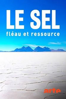Le sel - Fléau et ressource