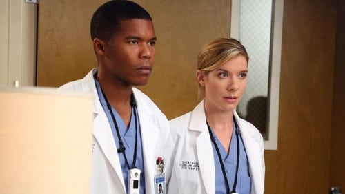 Grey's Anatomy - Season 10 - Episode 5: I Bet It Stung