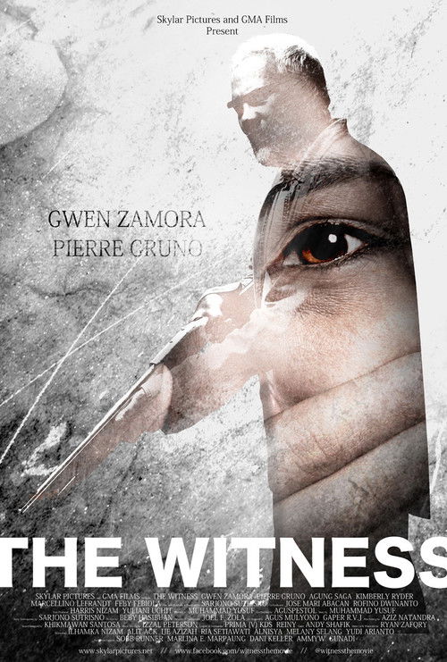 Free Watch The Witness (2012) Movies Summary Online Stream