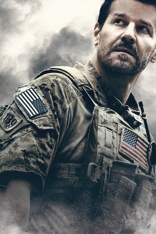 SEAL Team