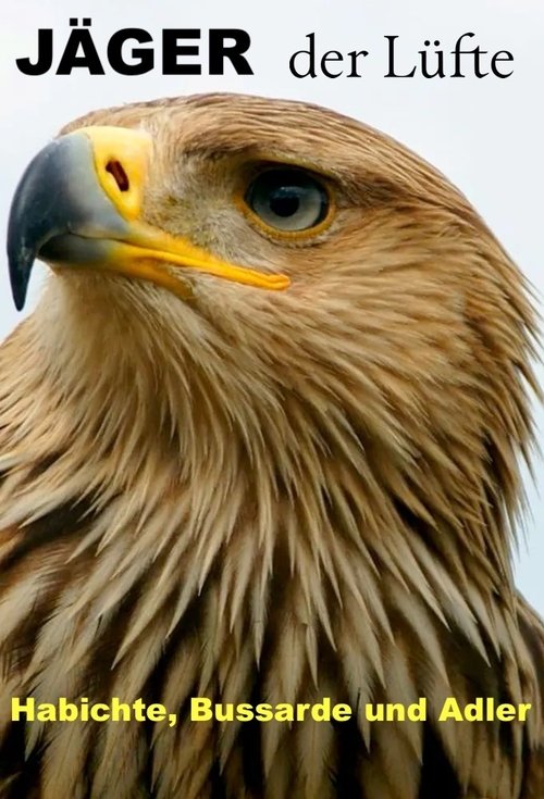 Poster Jäger der Lüfte - Habichte, Bussarde und Adler 2018