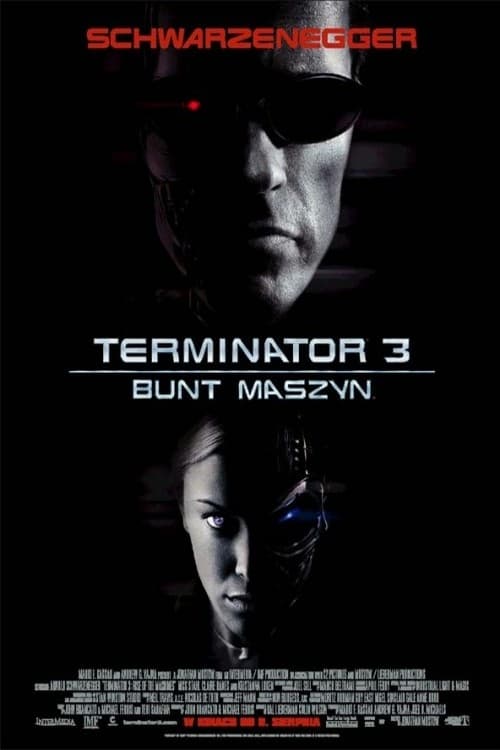 plakat Terminator 3: Bunt maszyn cały film