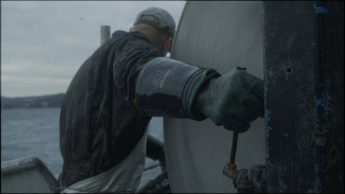 Caught in the net — Backdrops 7