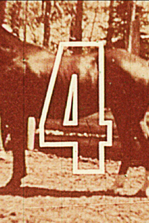Eleven Different Horses still 2