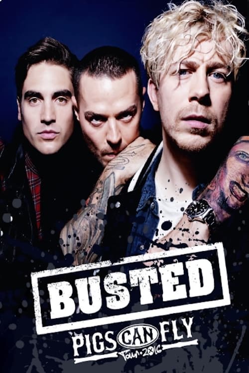 Poster Busted: Pigs Can Fly Tour 2016 2018