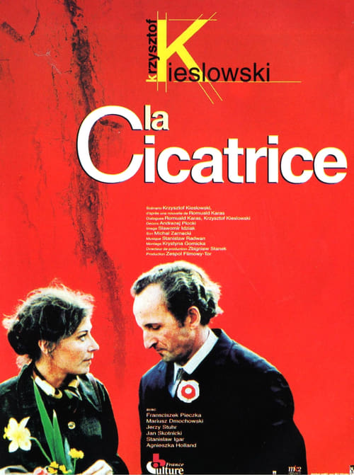 La Cicatrice (1976)