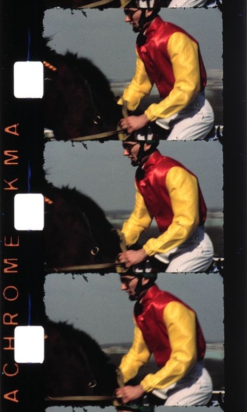 Chevaux (Introduction) 1987