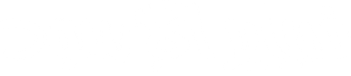 فبراير الأسود