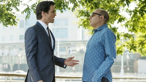 Crimes do Colarinho Branco: 5×1