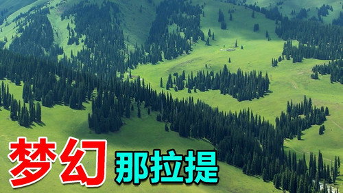 Episode 156