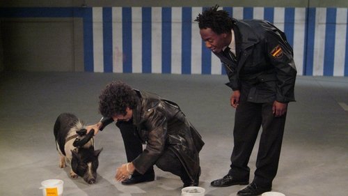 Épisode 5