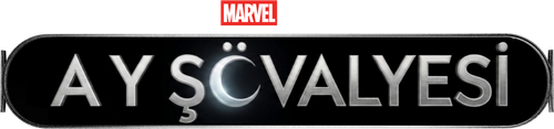 Ay Şövalyesi
