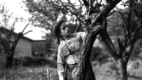 Image du film