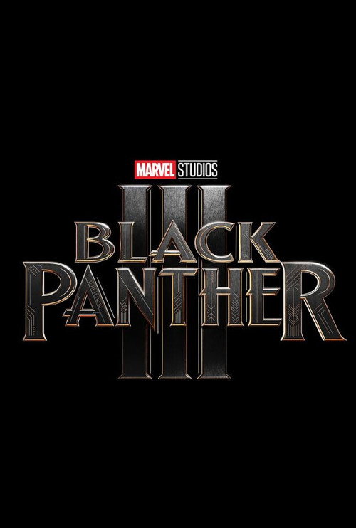 Black Panther 3 Poster