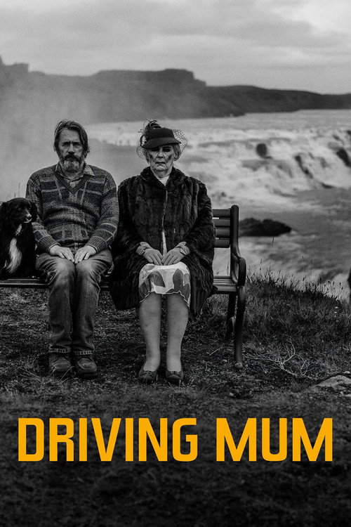 Driving Mum poster