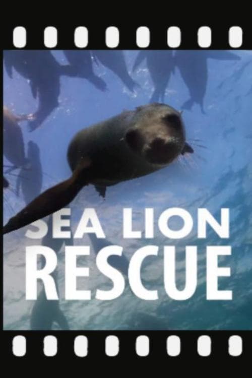 Sea Lion Rescue poster