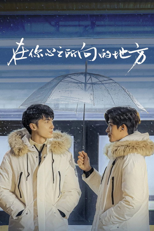 在你心之所向的地方 电影版