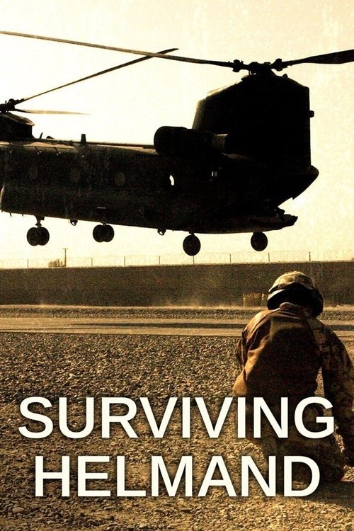 Surviving Helmand (2021) poster