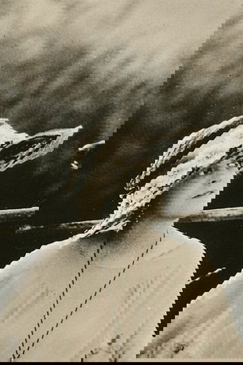 Jane Murfin profile
