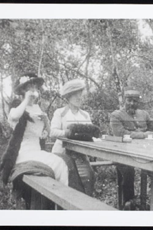 Um domingo em casa de vovô poster