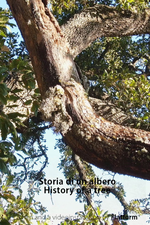 History of a Tree poster