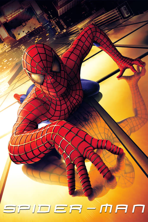 Spider-Man Movie Poster Image