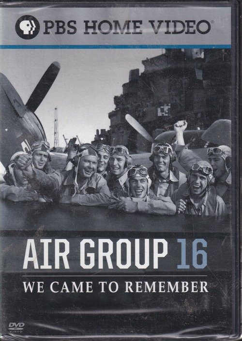 Air Group 16: We Came to Remember (2007) poster