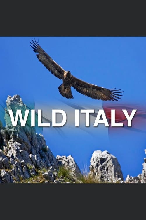 Wild Italy poster